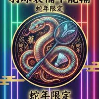 羽球裝備不能輸