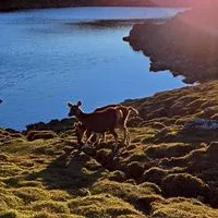 百岳⛰️登山戶外野營美景分享
