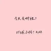 誰羽錚瘋-揪團打羽球🏸（台南羽球