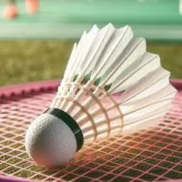 打羽球🏸週一～週四 信義南港松山區 #北市羽球零打