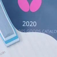 台中愛乒乓打桌球