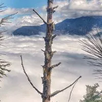 ☀️山上優雅☀️⛰️平安⛰️