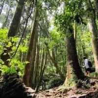 40＋ 台中登山趣