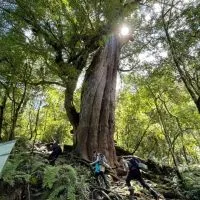 ANKO去凹豆(outdoor together)
