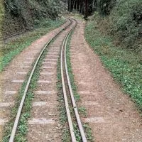 真熊登山隊-社群