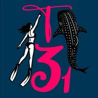 T31露營那點事 會員專屬 分享與討論