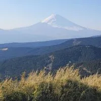 阿中哥投資週報