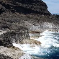 自潛打魚 ， 潛水漁獵， 分享打魚地點，技巧與法規
