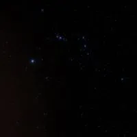 procreate交流群