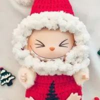 Labubu ₍ᐢ •͈ ༝ •͈ ᐢ₎♡泡泡瑪特購物團