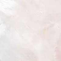小資女姐妹交流群👭