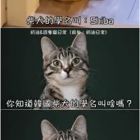 快說話啊 快