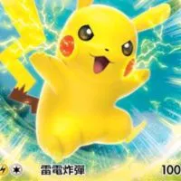 日本寶可夢代購 伴手禮 不定時飛往日本