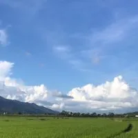 麥克連股市籌碼園地