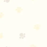 安親課輔老師聊天交流園地