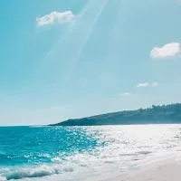 💰Money 打造多元現金流