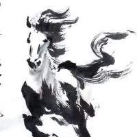 學測英文黑馬場