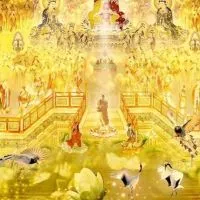 大家來念佛-增智慧，少煩惱。經文，法語，慈悲，助念，疑難解答，素食推廣，學習。(任何廣告都勿進)