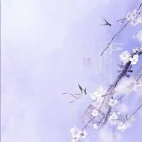 覺察圖文分享365