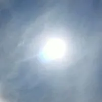 翁鴻老師課程賴群
