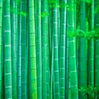 物業保全交流平台