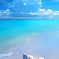 1️⃣群🔥保全/清潔/秘書/特勤/總幹事/工作職缺社群歡迎加入🌹【兼職or正職】求職群