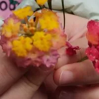 禁止廣告༄臨演佈告欄এ᭄࿐（#打零工相關）
