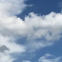 高雄不動產