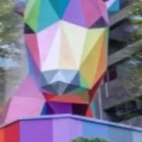 苓雅區在地生活大小事