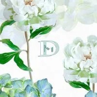 台北花市 — 線上鮮花材專區 Modelsses flowers