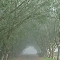 社工Q與A