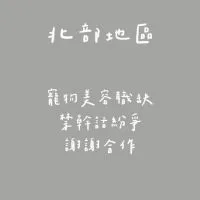 「北部地區」寵物美容代班群