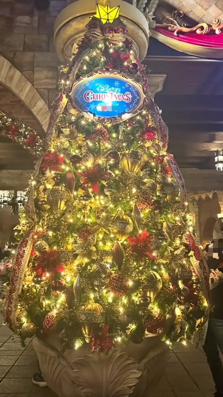 🌏東京ディズニーシー情報交流館（情報共有・雑談）