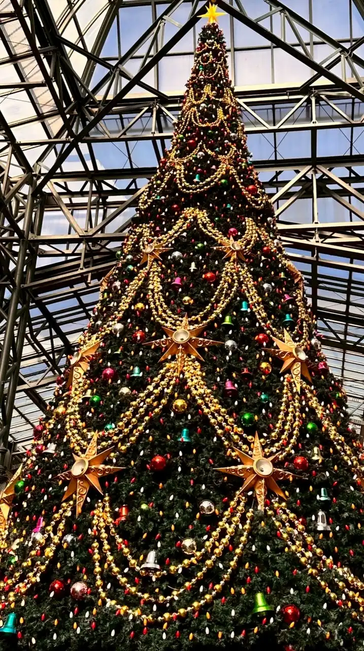 🏰東京ディズニーランド情報館