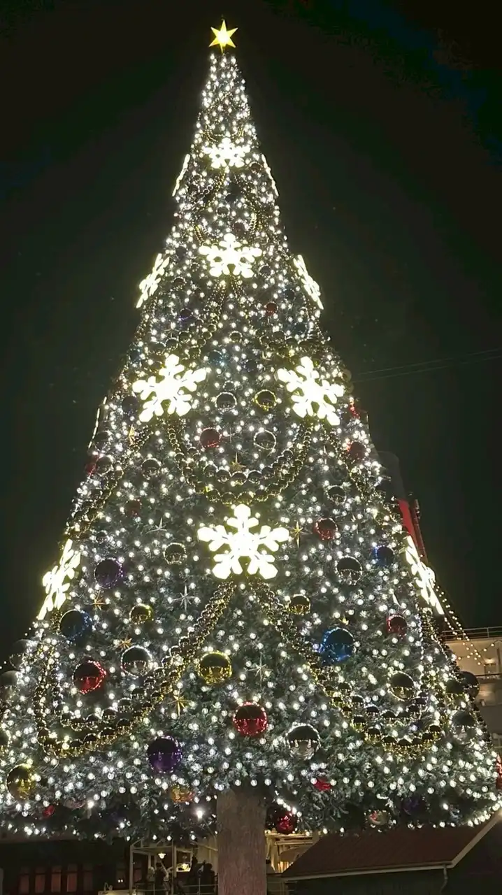 🌏東京ディズニーシー情報館