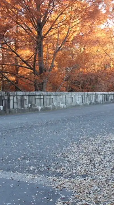 無料スタンプを探そう❣️