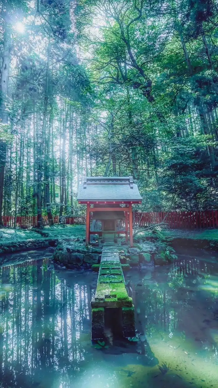神社⛩とお寺〽️と日本神話🌸～自然🌱が魅せる風景～紡がれてきた名言 格言と思想✨