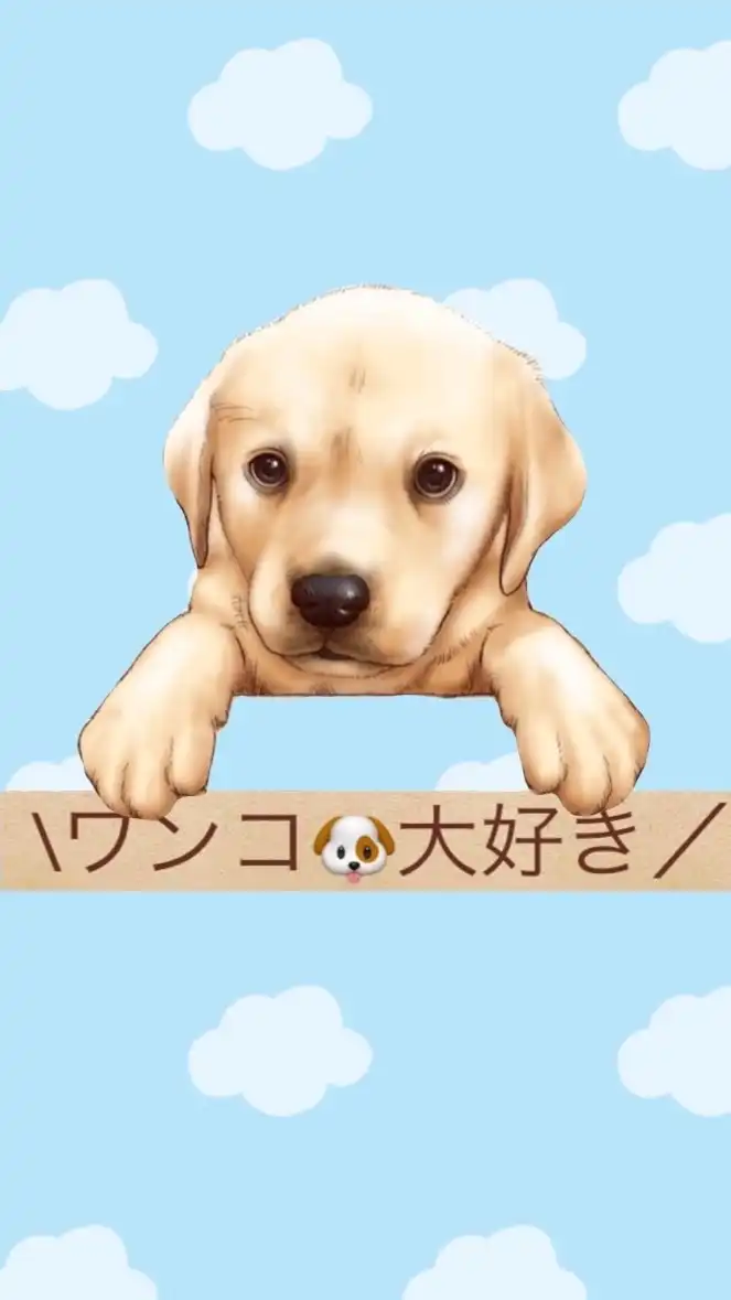 \ワンコ🐶大好き/写真動画ペタ🐾