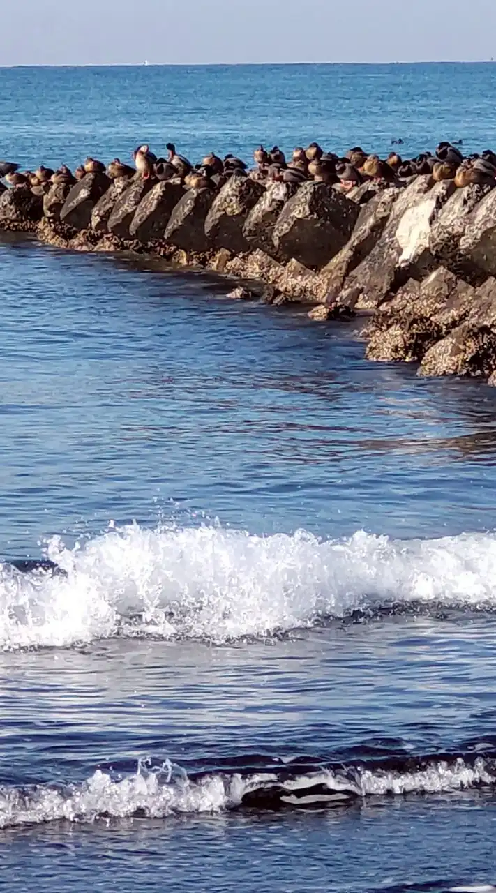 しりとり四字熟語＆五字熟語