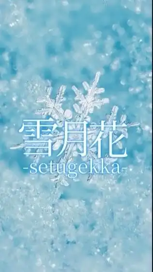 雪月花