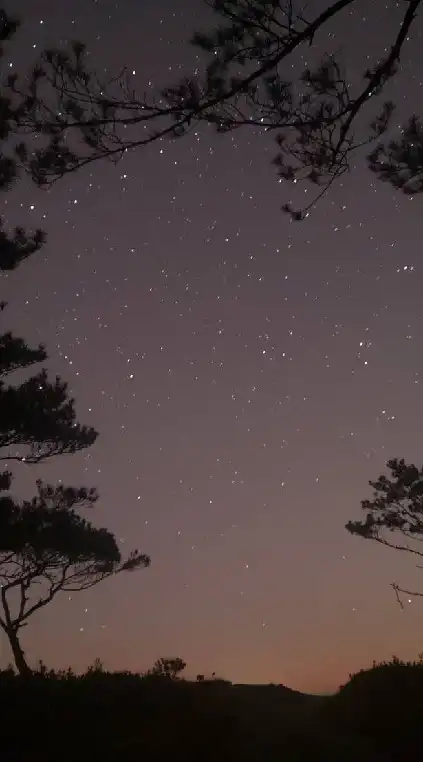 悪役令嬢もの好き集まれー‼️