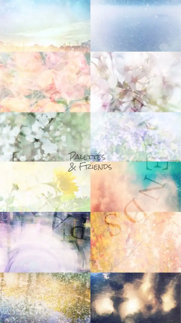 📚PALETTES & FRIENDS 『心に灯す光と色彩のパレット』、読者コミュニティ👫👭👬🎨