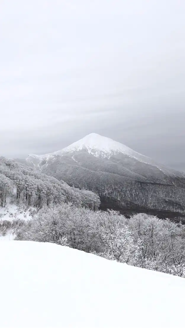 🏂ネコママウンテン好きが集う会🏂スノーボード