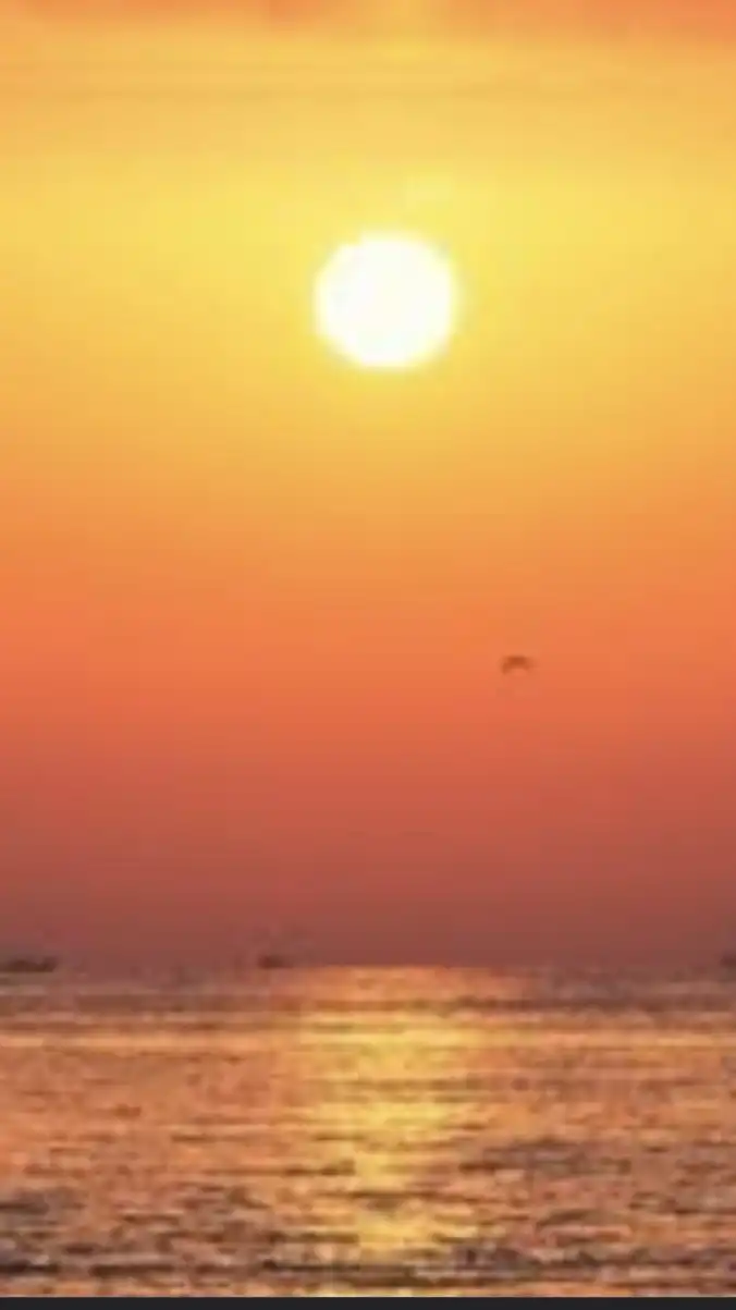 《🍃独り言🍃》50歳以上女性限定