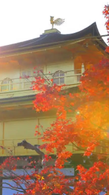 関西が好きな人歓迎🌼ユルユル部屋🌸ROM専歓迎