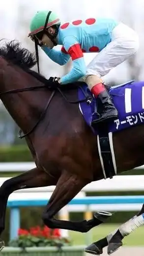 中央競馬みんなで盛り上げよう