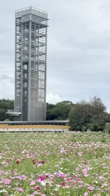 東海4県🐶犬と暮らす人の部屋✨