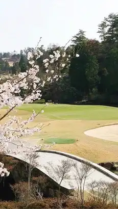 ⛳️愉快にゴルフ(始めたばかりの方、女性の方、大歓迎‼️)⛳️😊福山・尾道・三原・広島・倉敷