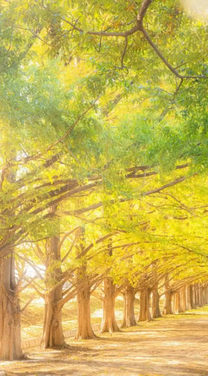 ✨助け合おう【生活保護】✨