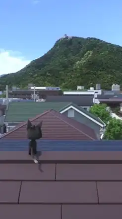 ⭐️岐阜市近郊 大人の集まり⭐️